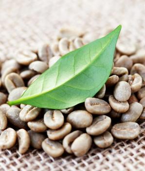 Zöld kávé kapszula és a fogyás